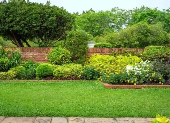 landscaping services Leeton